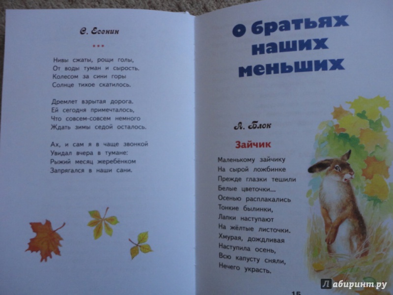 Иллюстрация 9 из 20 для Внеклассное чтение. 2 класс | Лабиринт - книги. Источник: Назаренко  Марина