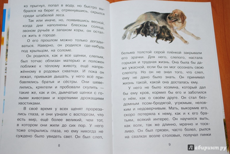 Иллюстрация 8 из 32 для Арктур - гончий пёс - Юрий Казаков | Лабиринт - книги. Источник: Нади