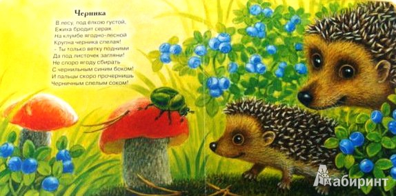 Иллюстрация 8 из 29 для На лесной проталинке - Гайда Лагздынь | Лабиринт - книги. Источник: ОксанаШ
