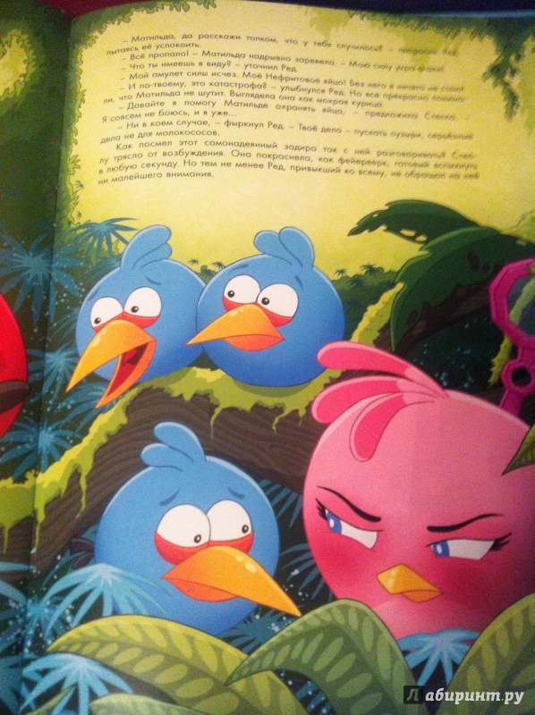 Иллюстрация 15 из 24 для Angry Birds. Стелла и волшебный амулет - Сари Пелтониеми | Лабиринт - книги. Источник: Лабиринт
