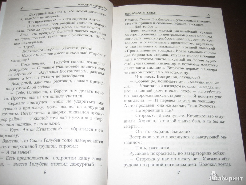 Иллюстрация 7 из 9 для Жестокое счастье - Михаил Черненок | Лабиринт - книги. Источник: Волков  Александр Александрович