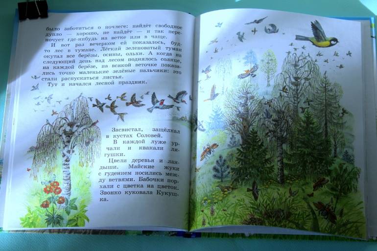 Иллюстрация 39 из 55 для Синичкин календарь - Виталий Бианки | Лабиринт - книги. Источник: Katerina