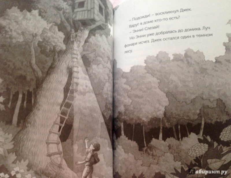 Иллюстрация 15 из 24 для Волшебный дом на дереве. Рыцарь на заре - Мэри Осборн | Лабиринт - книги. Источник: Псевдоним