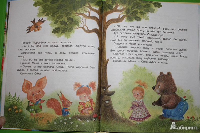 Иллюстрация 14 из 80 для Маша и Ойка - Софья Прокофьева | Лабиринт - книги. Источник: tyes4