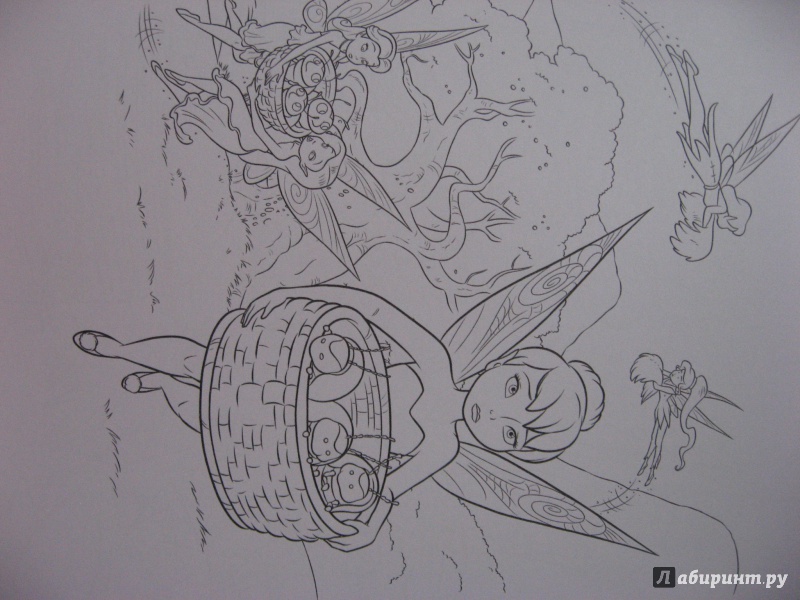 Иллюстрация 5 из 12 для Волшебная раскраска. Феи. Тайна Зимнего Леса (№14101) | Лабиринт - книги. Источник: Zaynetka