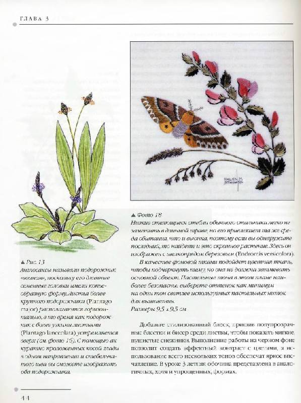 Иллюстрация 14 из 31 для Цветы. Практическое руководство - Хелен Стивенс | Лабиринт - книги. Источник: Юта