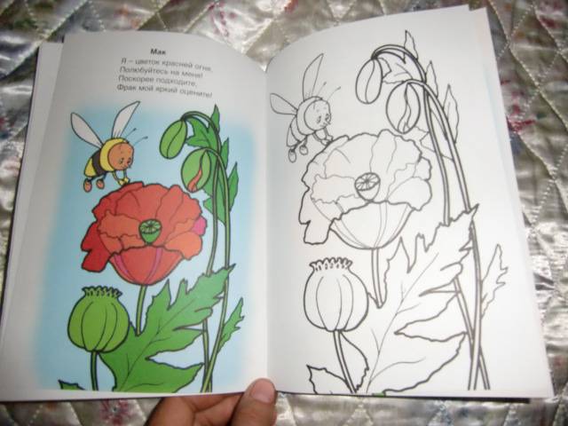 Иллюстрация 14 из 22 для Во саду ли, в огороде - Скребцова, Лопатина | Лабиринт - книги. Источник: Лимпи