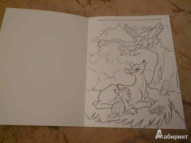 Иллюстрация 3 из 5 для Волшебная раскраска "Бемби" (№12150) | Лабиринт - книги. Источник: Nadezhda_S