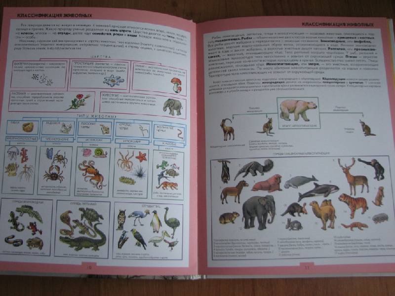 Иллюстрация 6 из 31 для Атлас животных | Лабиринт - книги. Источник: москвичка