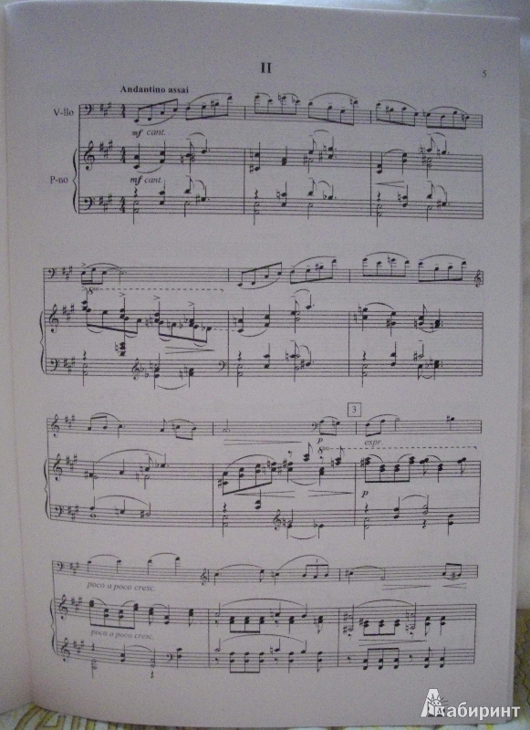Иллюстрация 2 из 3 для Шесть прелюдий-вариаций. Скерцино. Для виолончели и фортепиано - Мурад Кажлаев | Лабиринт - книги. Источник: Спящая на ходу