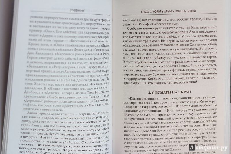 Иллюстрация 14 из 18 для Стивен Кинг - Вадим Эрлихман | Лабиринт - книги. Источник: x rabid bitch x