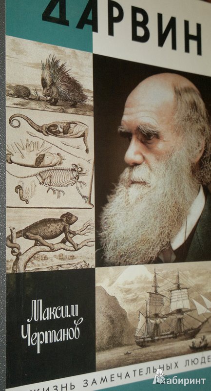Иллюстрация 2 из 7 для Дарвин - Максим Чертанов | Лабиринт - книги. Источник: Леонид Сергеев