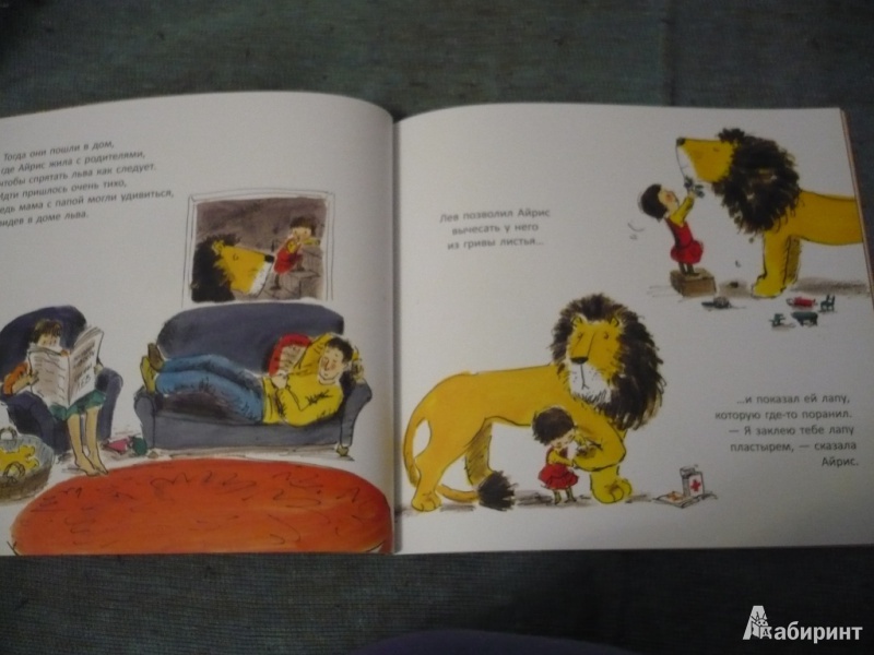 Иллюстрация 21 из 26 для Как спрятать льва - Хелен Стивенс | Лабиринт - книги. Источник: angela_kvitka