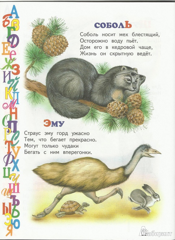 Иллюстрация 3 из 10 для Азбука животных - Владимир Степанов | Лабиринт - книги. Источник: Мама Мальвины