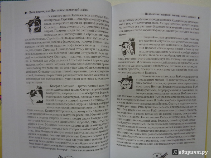 Иллюстрация 22 из 27 для Язык цветов, или Все тайны цветочной магии - Денис Лобков | Лабиринт - книги. Источник: Сокол-Ан