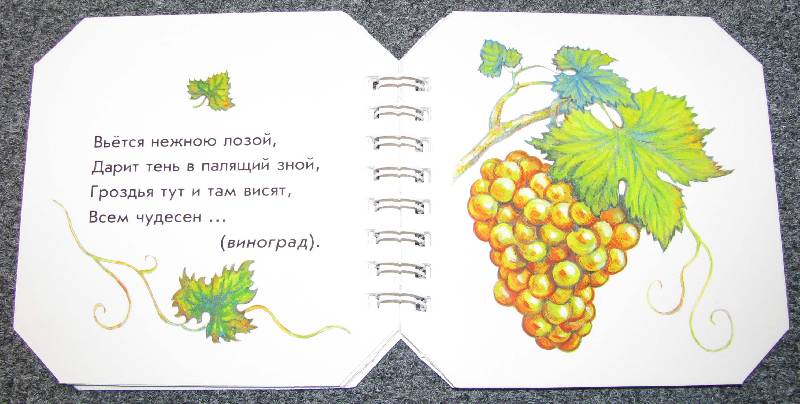 Иллюстрация 7 из 19 для Что в саду растёт - А. Геращенко | Лабиринт - книги. Источник: Апельсинка