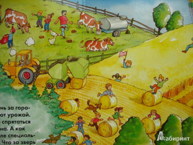 Иллюстрация 34 из 68 для Весёлые пряталки. За городом (виммельбух) - Lila. Leiber | Лабиринт - книги. Источник: kolobus