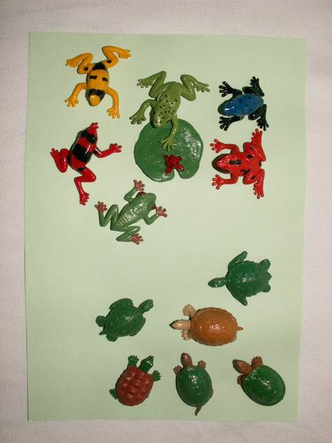 Иллюстрация 3 из 8 для Лягушки и черепахи, 13 фигурок (694804) | Лабиринт - игрушки. Источник: ariadna