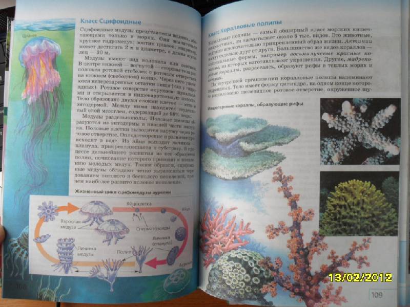 Иллюстрация 5 из 11 для Биология. Многообразие живых организмов. 7 класс (+ CD) - Сонин, Захаров | Лабиринт - книги. Источник: Ankosik