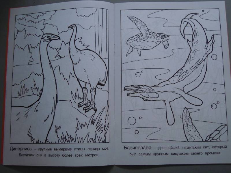 Иллюстрация 6 из 7 для Доисторические животные | Лабиринт - книги. Источник: Iwolga