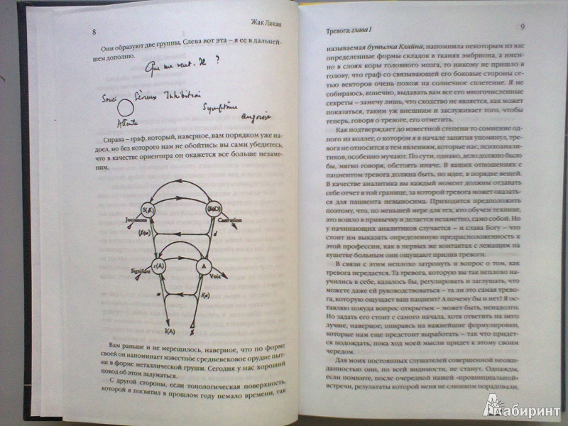 Иллюстрация 4 из 15 для Тревога. Семинар, Книга 10 (1962-1963) - Жак Лакан | Лабиринт - книги. Источник: breathmaker