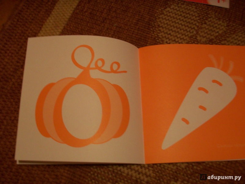 Иллюстрация 14 из 14 для Раскрась оранжевым | Лабиринт - книги. Источник: Надежда