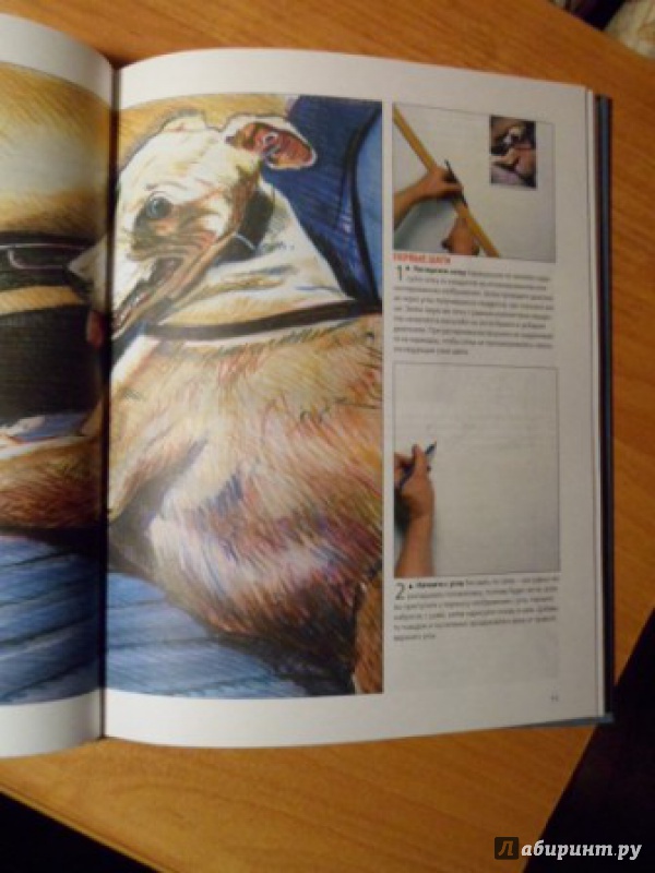 Иллюстрация 14 из 38 для Рисуем человека. Шаг за шагом | Лабиринт - книги. Источник: Optimistka