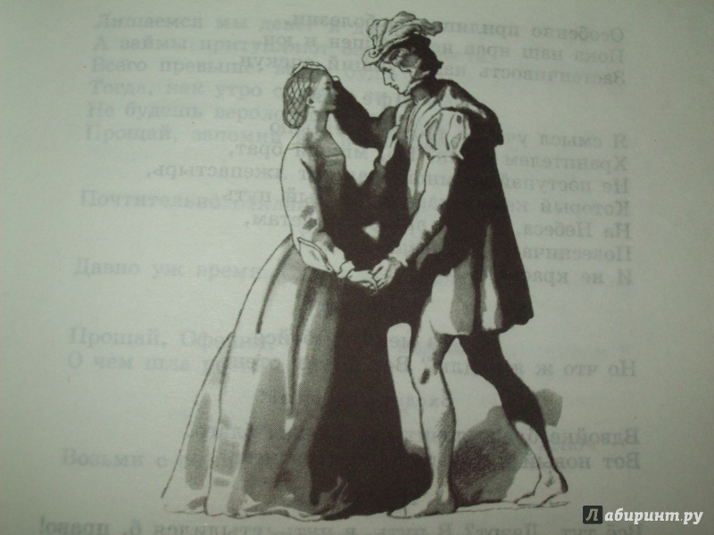 Иллюстрация 8 из 16 для Гамлет, принц Датский - Уильям Шекспир | Лабиринт - книги. Источник: КошкаПолосатая