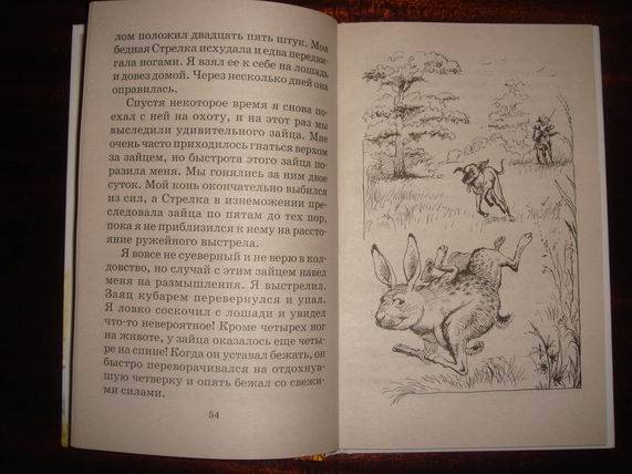 Иллюстрация 15 из 21 для Приключения барона Мюнхаузена - Рудольф Распе | Лабиринт - книги. Источник: gekky_N