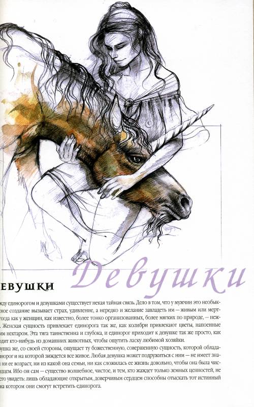 Иллюстрация 17 из 18 для Единороги. Магический мир - Кристина Камбарери | Лабиринт - книги. Источник: Yuka