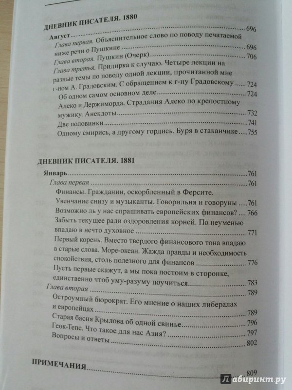 Иллюстрация 15 из 16 для Дневник Писателя - Федор Достоевский | Лабиринт - книги. Источник: Чагина  Ирина