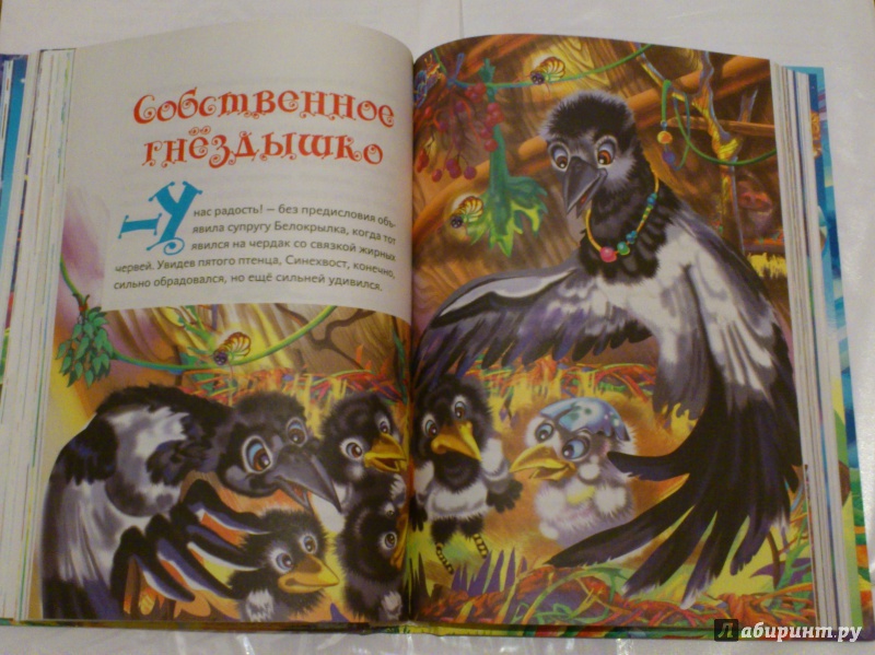Иллюстрация 7 из 32 для Сказки Светлой поляны - Вознесенская, Лигун | Лабиринт - книги. Источник: Янтарный Сон