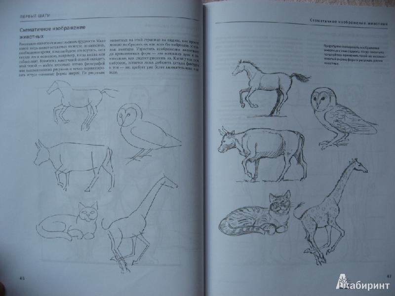 Иллюстрация 7 из 16 для Как нарисовать все что угодно. Школа рисования - Баррингтон Барбер | Лабиринт - книги. Источник: Юта
