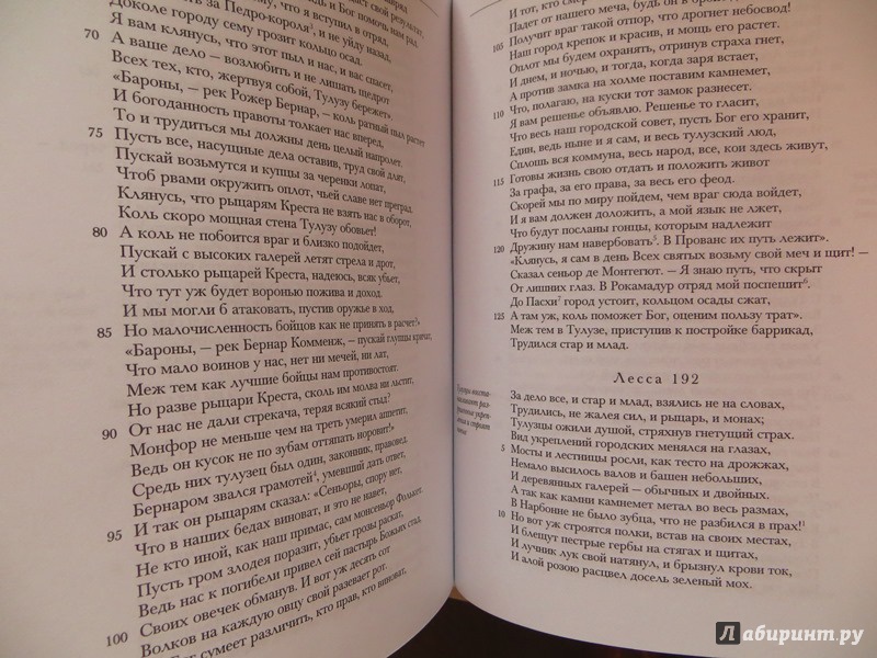 Иллюстрация 4 из 21 для Песнь о крестовом походе против альбигойцев | Лабиринт - книги. Источник: Жданова  Елена Васильевна