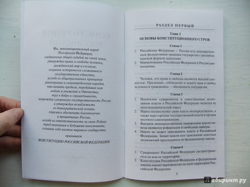 Иллюстрация 8 из 9 для Конституция Российской Федерации | Лабиринт - книги. Источник: Impaler