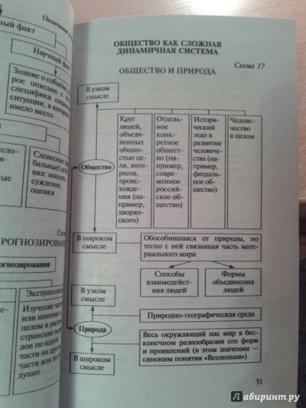 Иллюстрация 5 из 7 для Обществознание в таблицах: 10-11 классы - Петр Баранов | Лабиринт - книги. Источник: Ксения