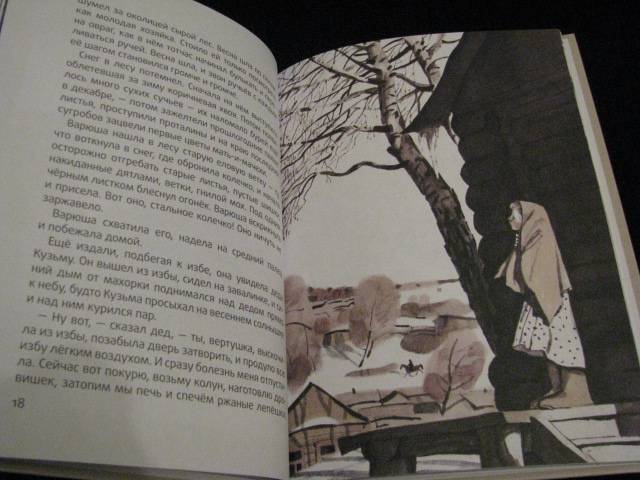 Иллюстрация 19 из 44 для Стальное колечко - Константин Паустовский | Лабиринт - книги. Источник: Nemertona