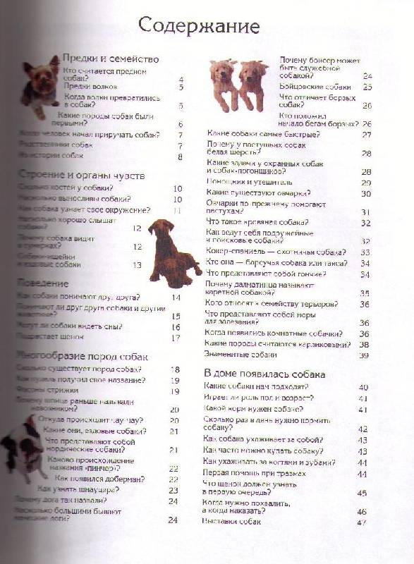 Иллюстрация 6 из 19 для Собаки - Петер Тайхманн | Лабиринт - книги. Источник: In@