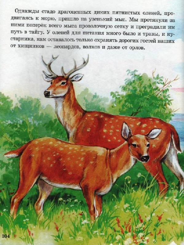 Иллюстрация 15 из 24 для Рассказы о животных малышам - Михаил Пришвин | Лабиринт - книги. Источник: Zhanna