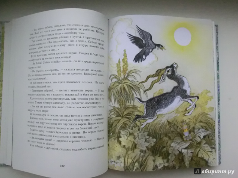 Иллюстрация 29 из 80 для Сказки народов Азии - Нисон Ходза | Лабиринт - книги. Источник: НАТАЛИЯ