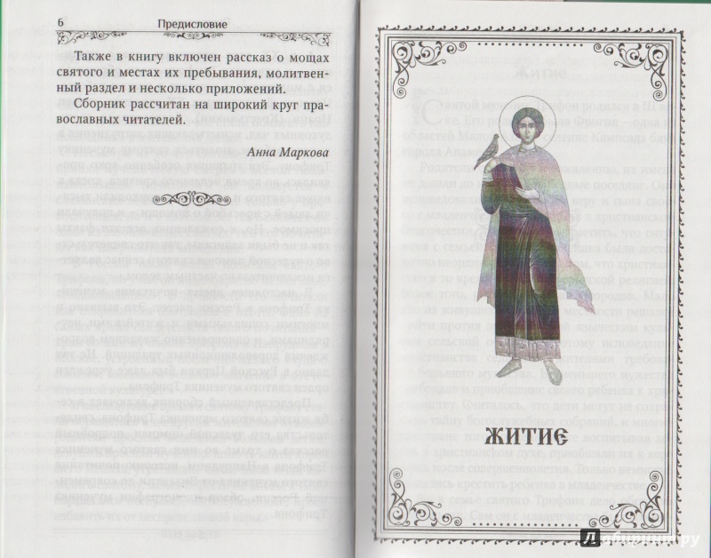 Иллюстрация 12 из 15 для Святой мученик Трифон | Лабиринт - книги. Источник: yasmeenka