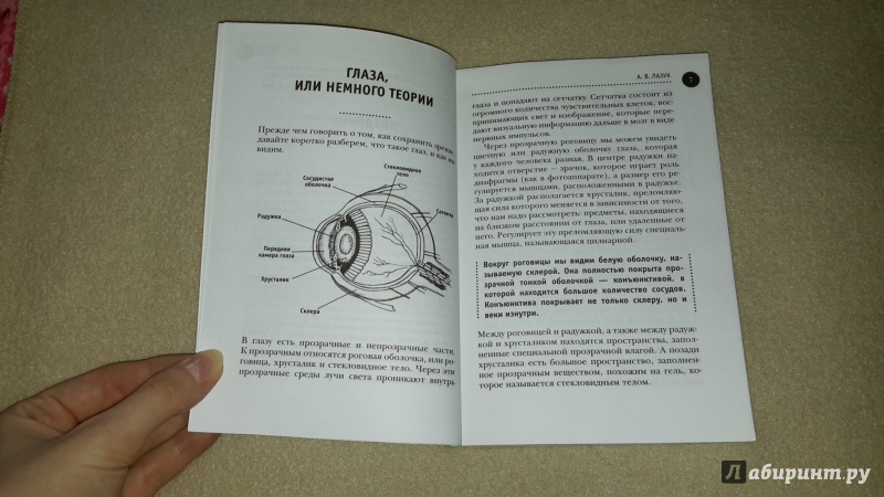 Иллюстрация 9 из 14 для 36 и 6 правил здоровых глаз - Александра Лазук | Лабиринт - книги. Источник: Маруся (@smelayatrysixa)
