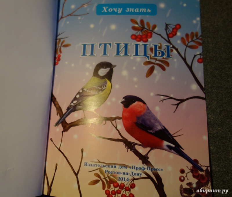 Иллюстрация 3 из 61 для Птицы | Лабиринт - книги. Источник: Лабиринт