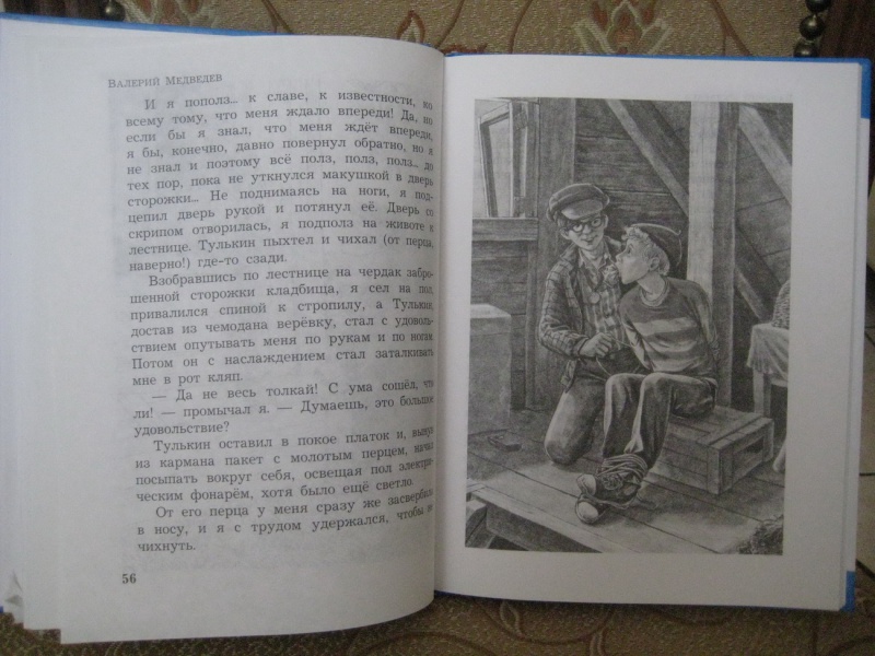Иллюстрация 7 из 16 для Непохожие близнецы - Валерий Медведев | Лабиринт - книги. Источник: Сумкина  Наталья