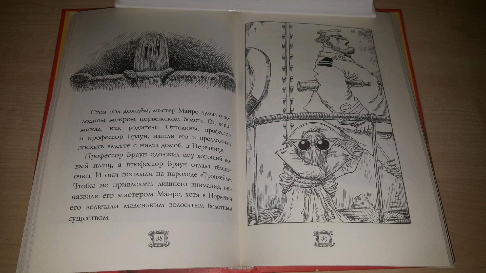Иллюстрация 35 из 43 для Оттолина и Жёлтая Кошка - Крис Ридделл | Лабиринт - книги. Источник: Лабиринт
