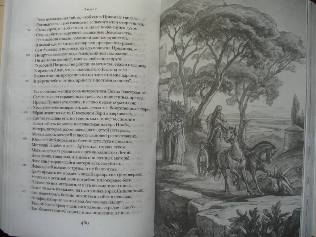 Иллюстрация 11 из 11 для Илиада. Одиссея - Гомер | Лабиринт - книги. Источник: Ценитель классики