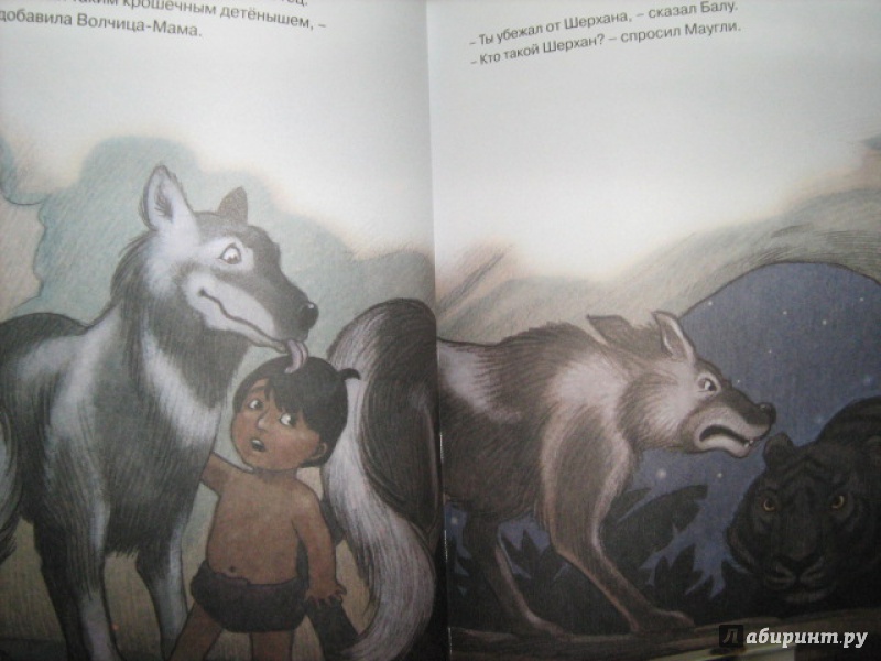 Иллюстрация 1 из 9 для День рождения Маугли - Редьярд Киплинг | Лабиринт - книги. Источник: Mashutka