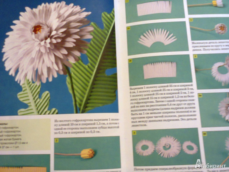 Иллюстрация 8 из 26 для Цветы в технике квиллинг - Клавдия Моргунова | Лабиринт - книги. Источник: G