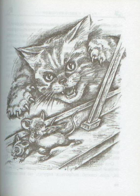 Иллюстрация 25 из 30 для Мышонок по имени Вольф - Дик Кинг-Смит | Лабиринт - книги. Источник: Осьминожка