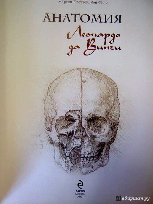 Иллюстрация 4 из 42 для Анатомия Леонардо - Мартин Клейтон | Лабиринт - книги. Источник: Салус